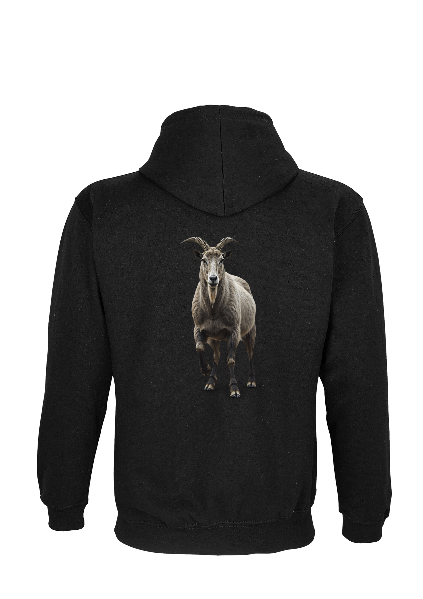 COQAGRI-Sweatshirt 