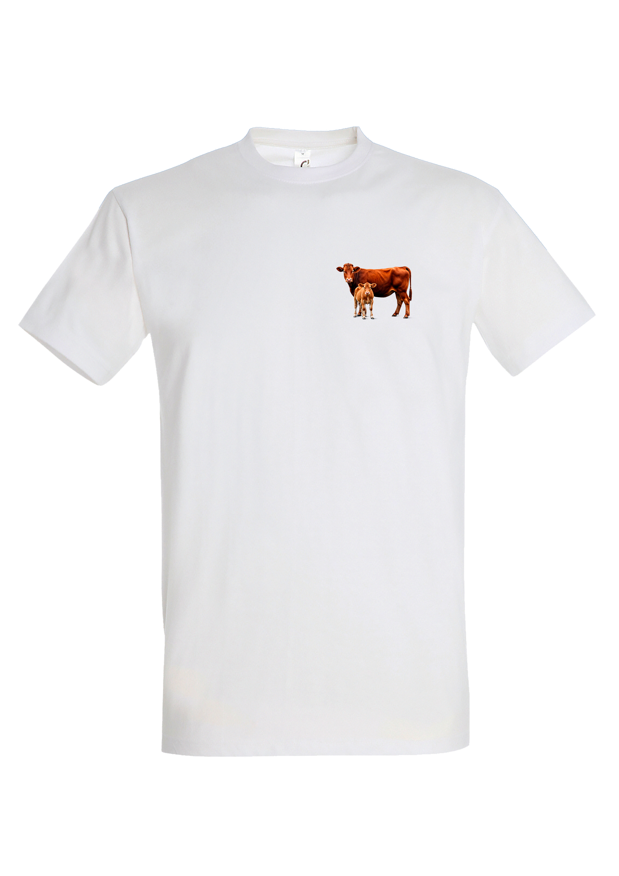 T-shirt Vache Limousine - COQ AGRI