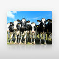 Poster métallique troupeau Prim'Holstein — plaque sur fond neutre