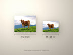 Poster métallique Vache Brune des Alpes — formats comparés en centimètres