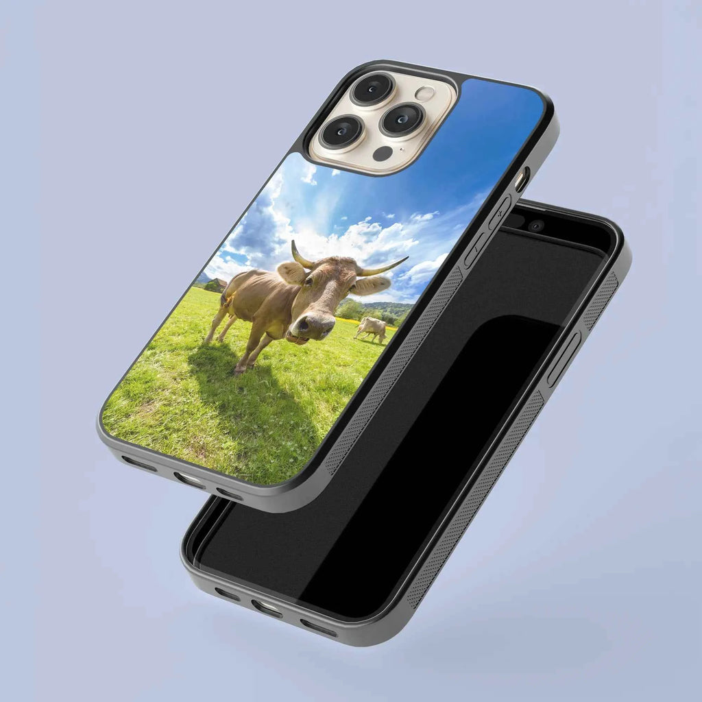 Coque - Tarentaise