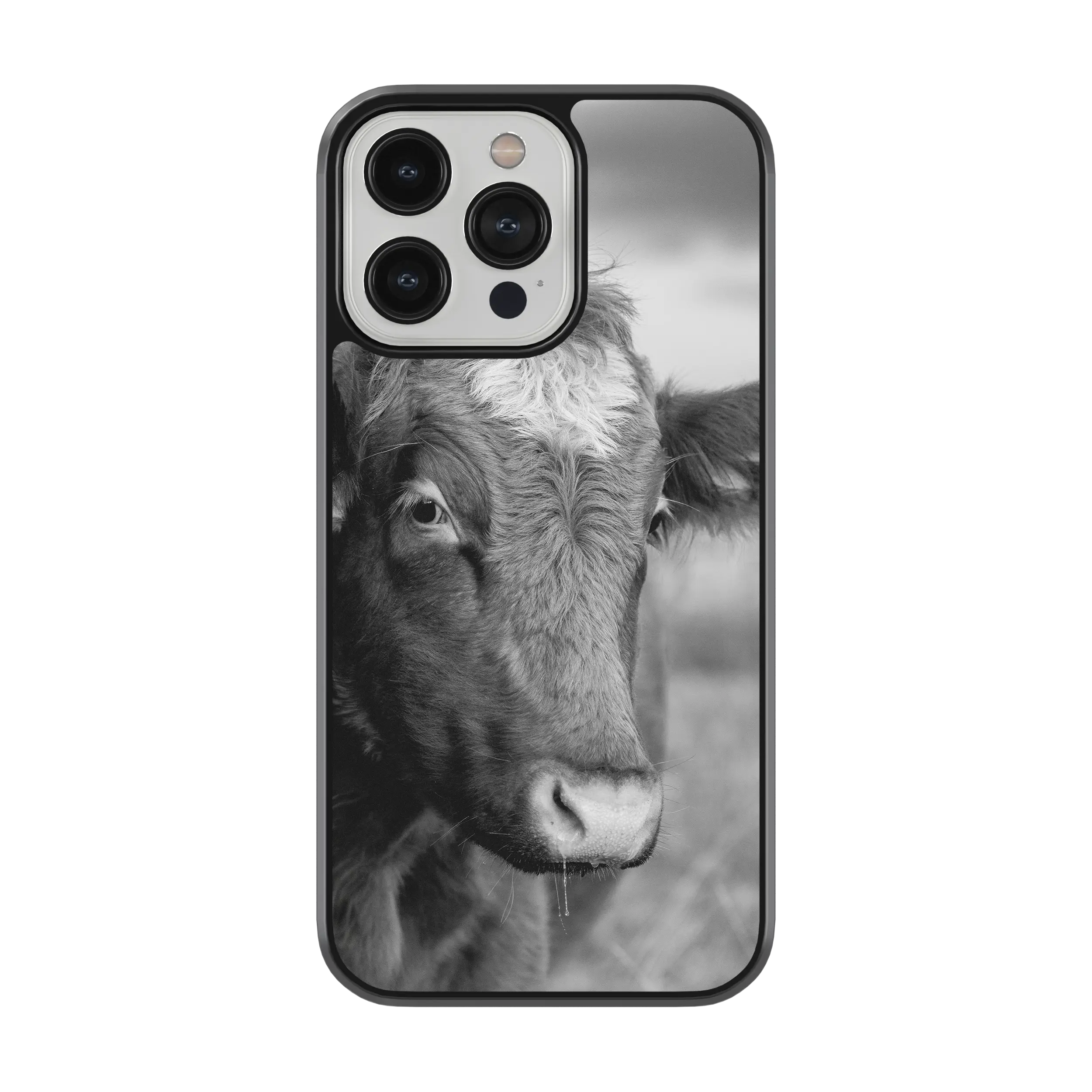 Coque - Vache Noir & Blanc
