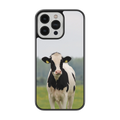 Coque - Prim Holstein