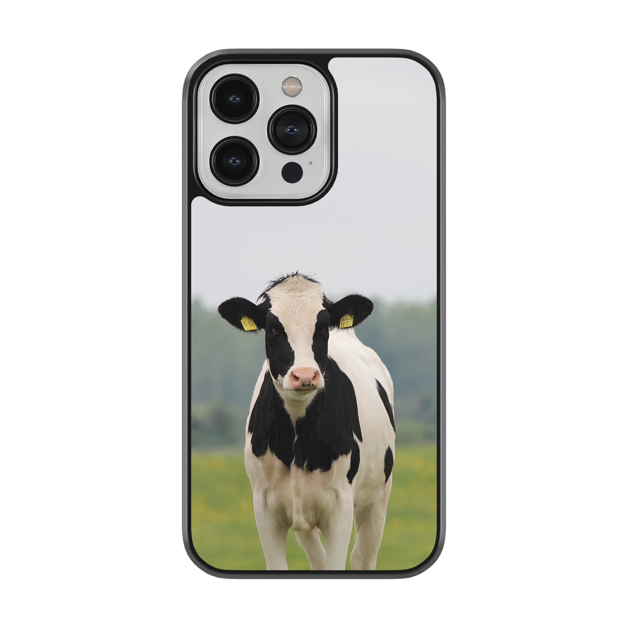Coque - Prim Holstein