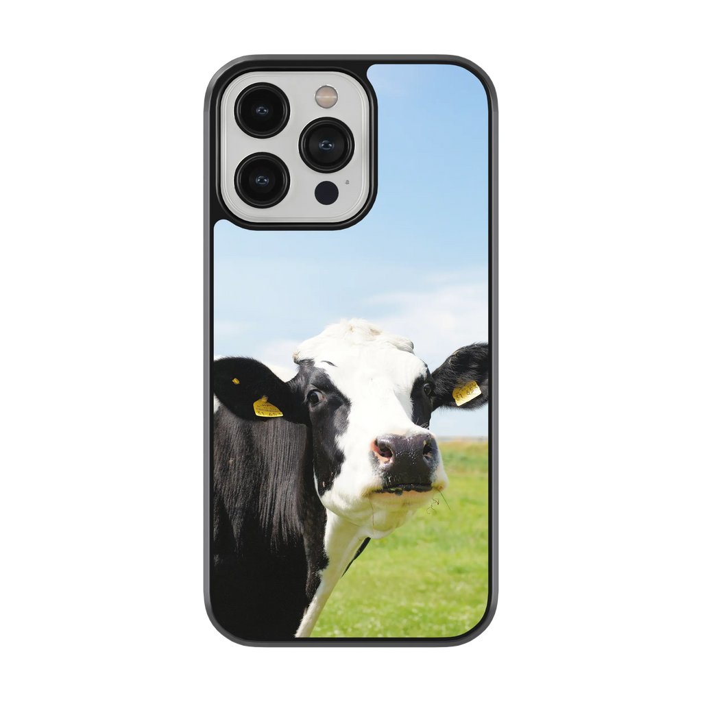 Coque - Prim Holstein