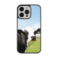 Coque - Prim Holstein