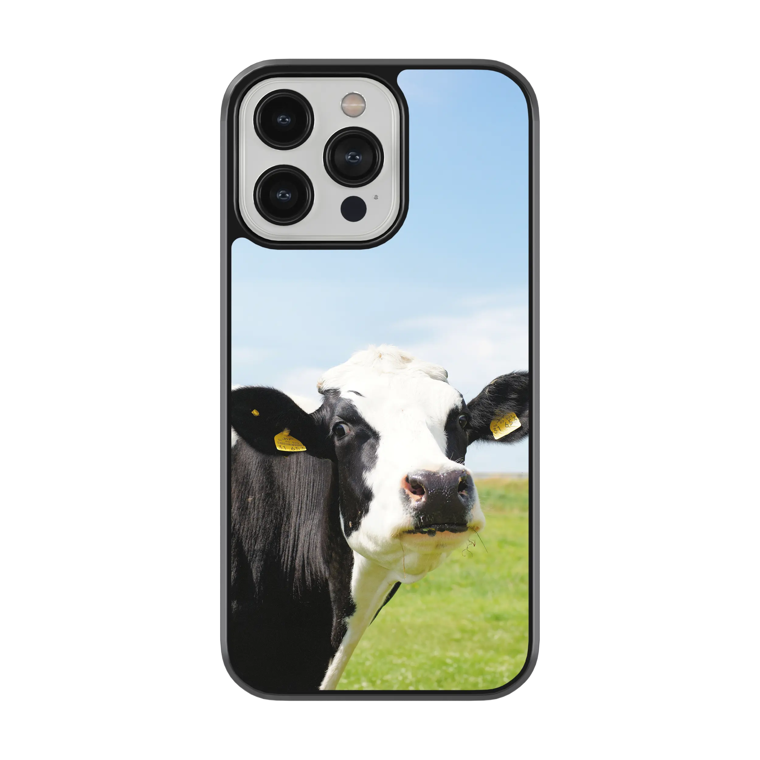 Coque - Prim Holstein