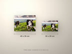 Poster métallique Vaches Prim'Holstein — formats comparés en centimètres