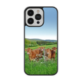 Coque - Vaches Limousine