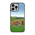 Coque - Vaches Limousine