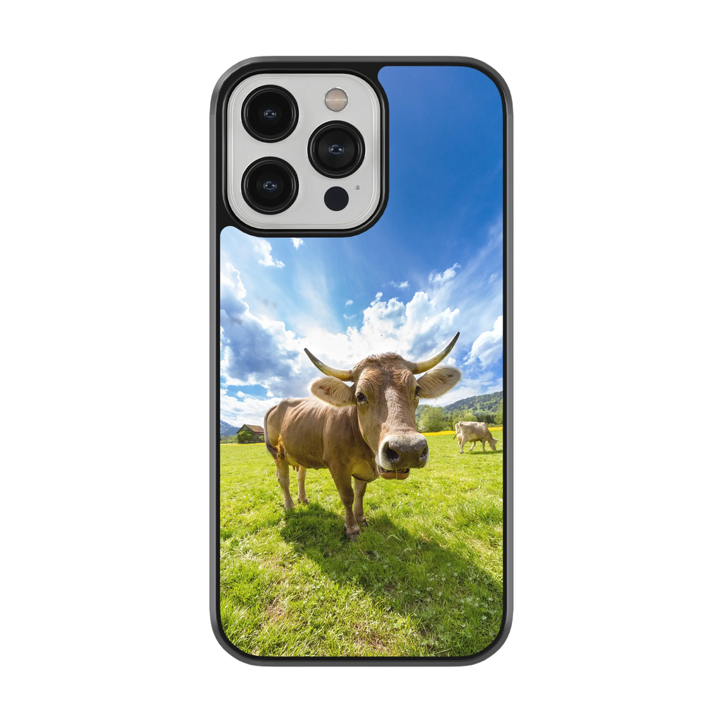 Coque - Tarentaise