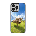 Coque - Tarentaise