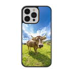 Coque - Tarentaise