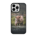 Coque - Veau Highland