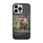 Coque - Veau Highland