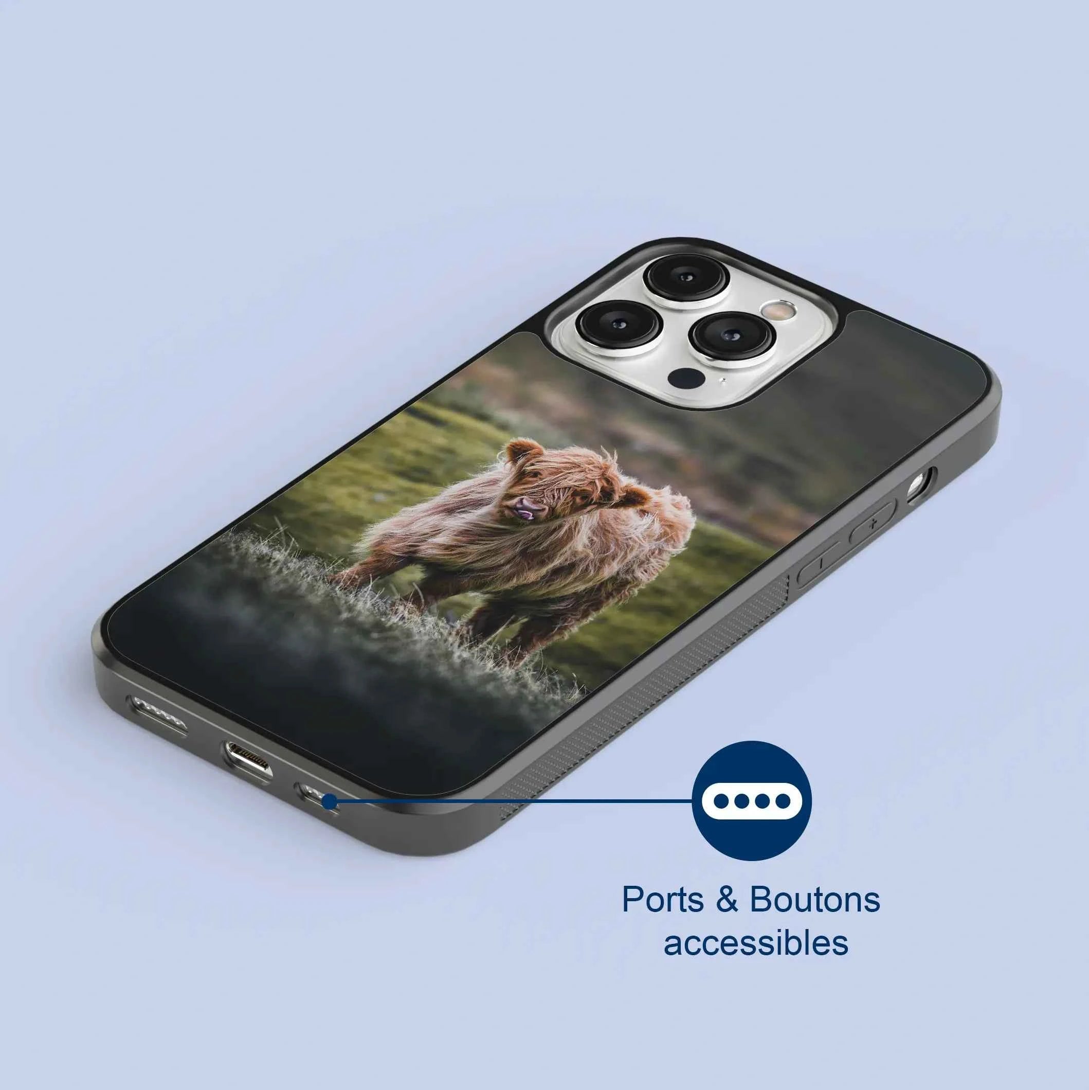 Coque - Veau Highland