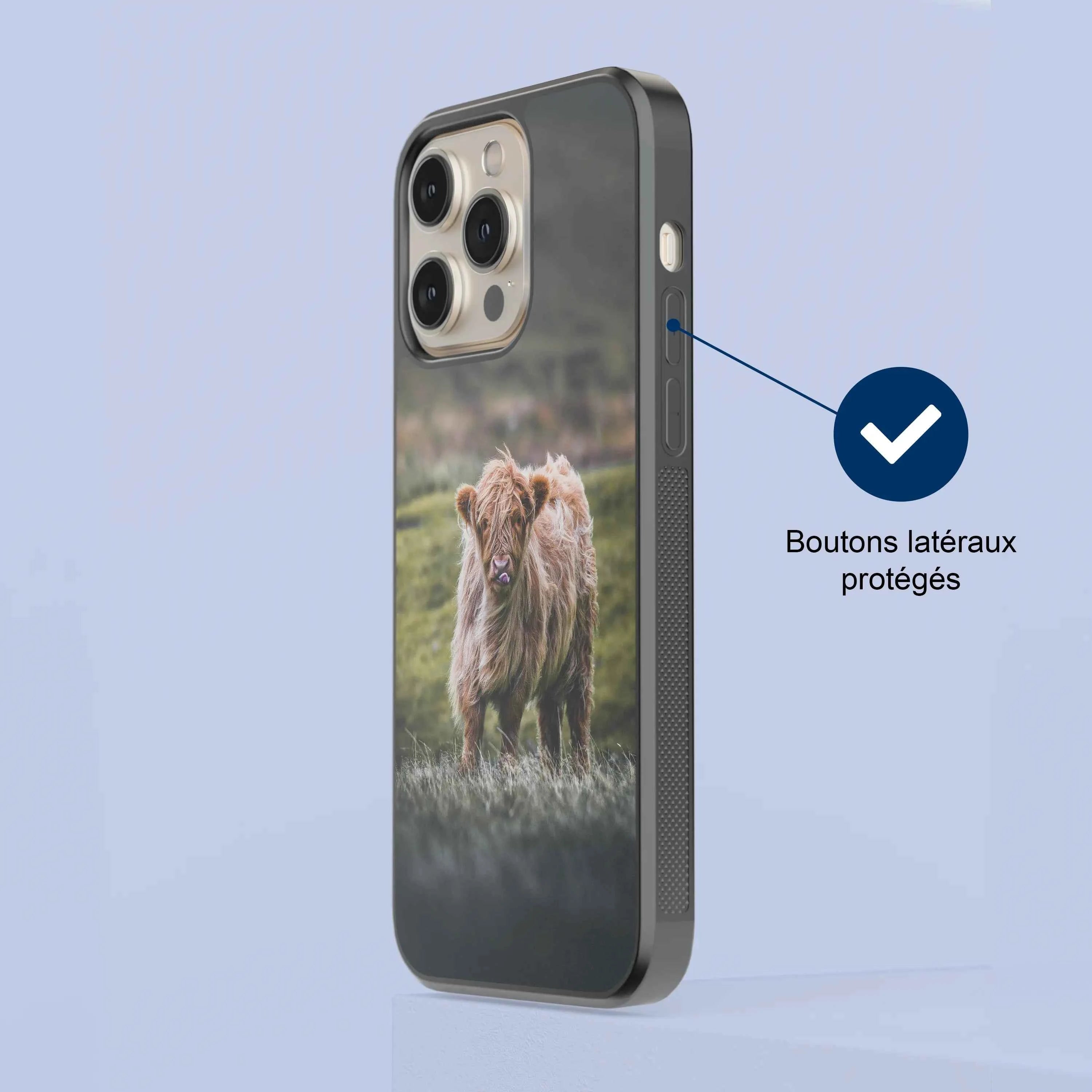 Coque - Veau Highland