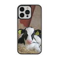 Coque - Veau Prim Holstein
