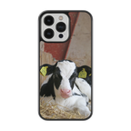 Coque - Veau Prim Holstein