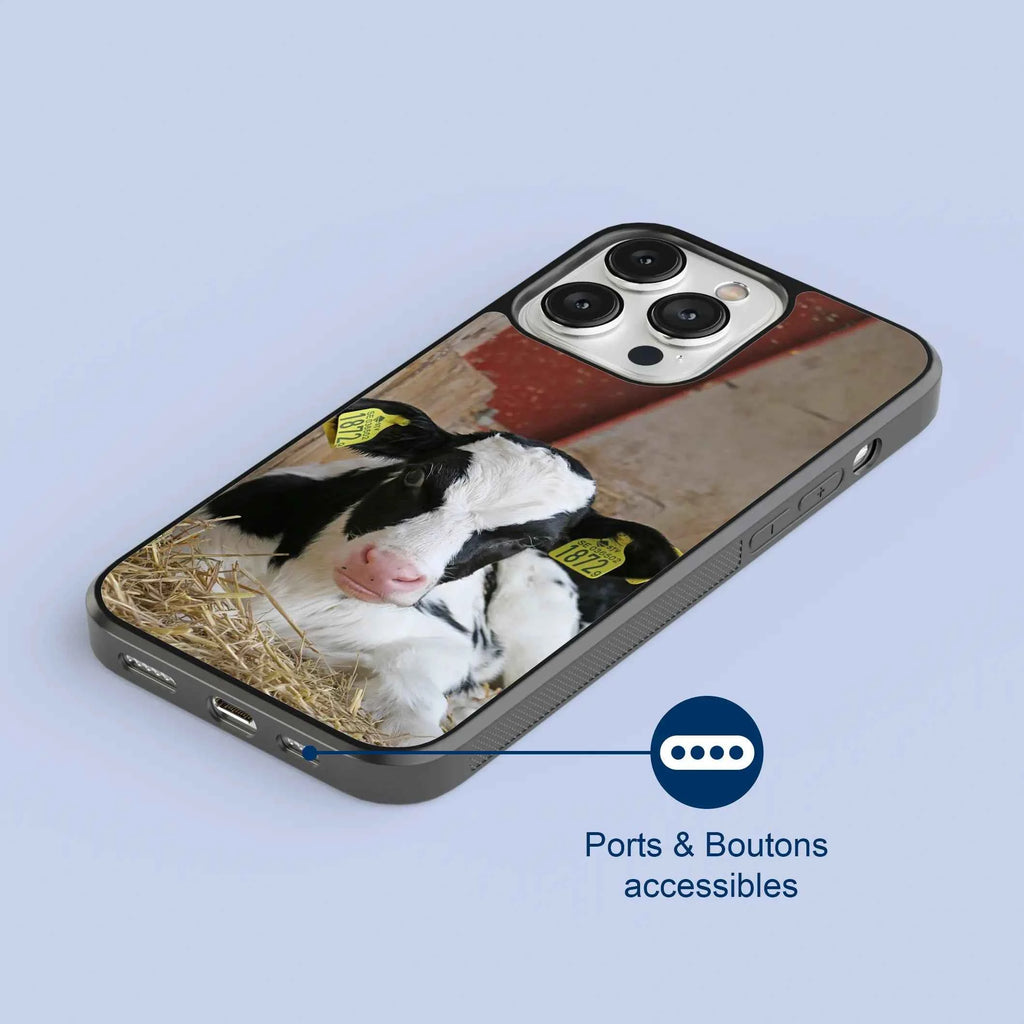 Coque - Veau Prim Holstein