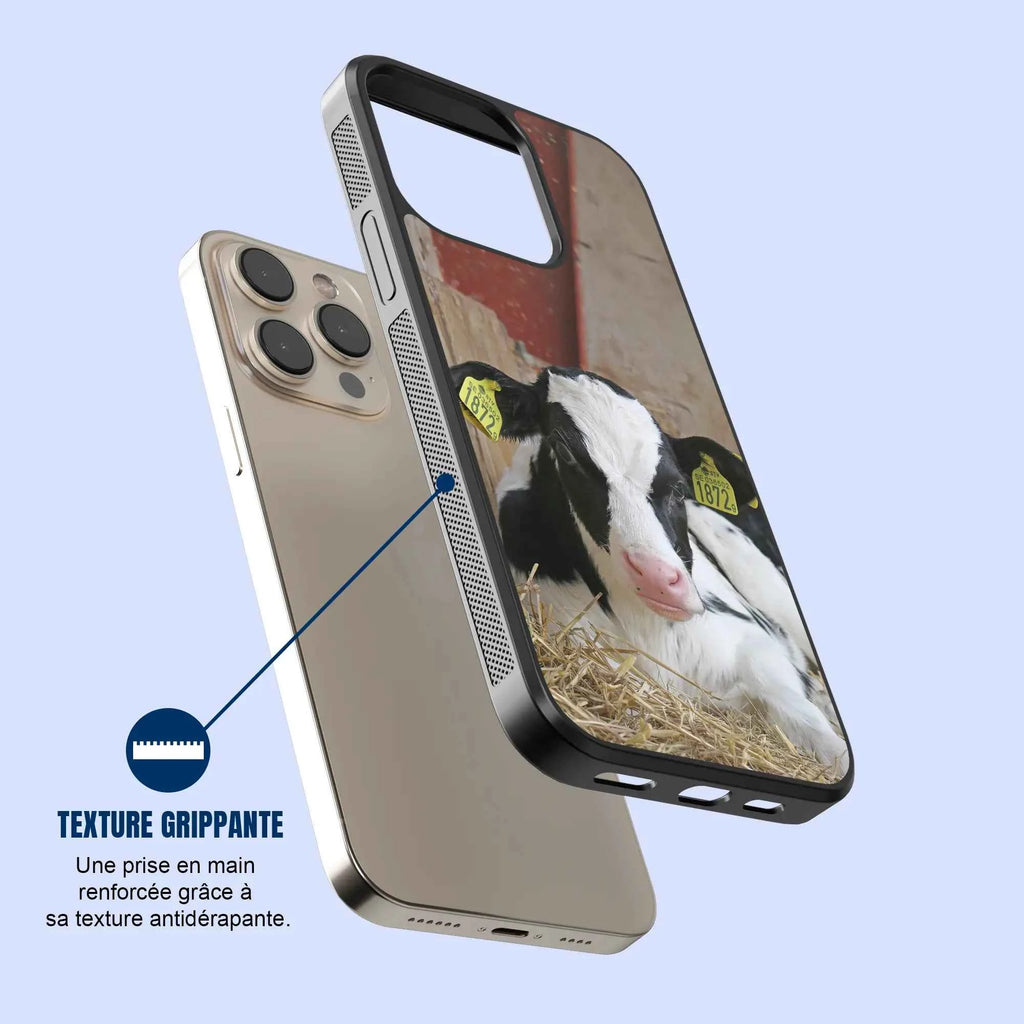 Coque - Veau Prim Holstein