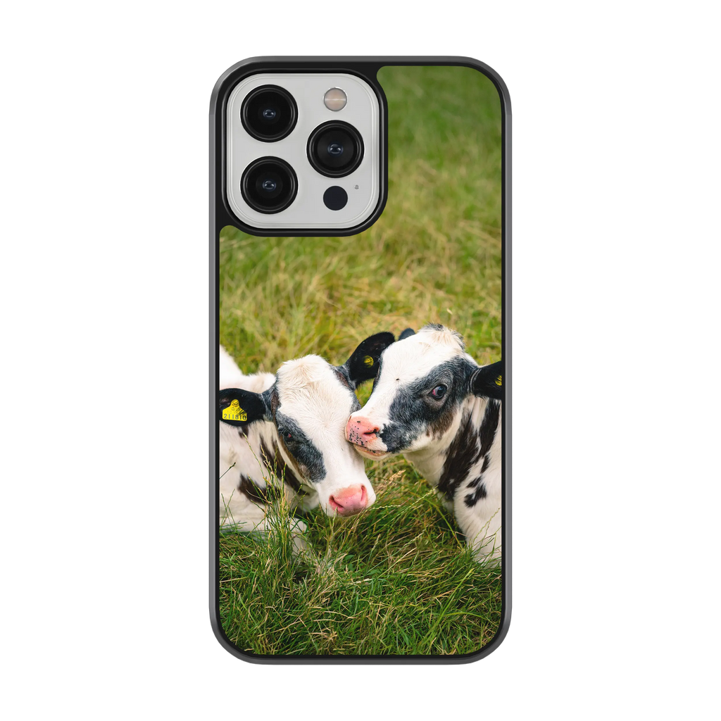Coque - Veaux Prim Holstein