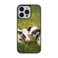 Coque - Veaux Prim Holstein