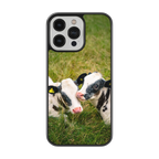 Coque - Veaux Prim Holstein
