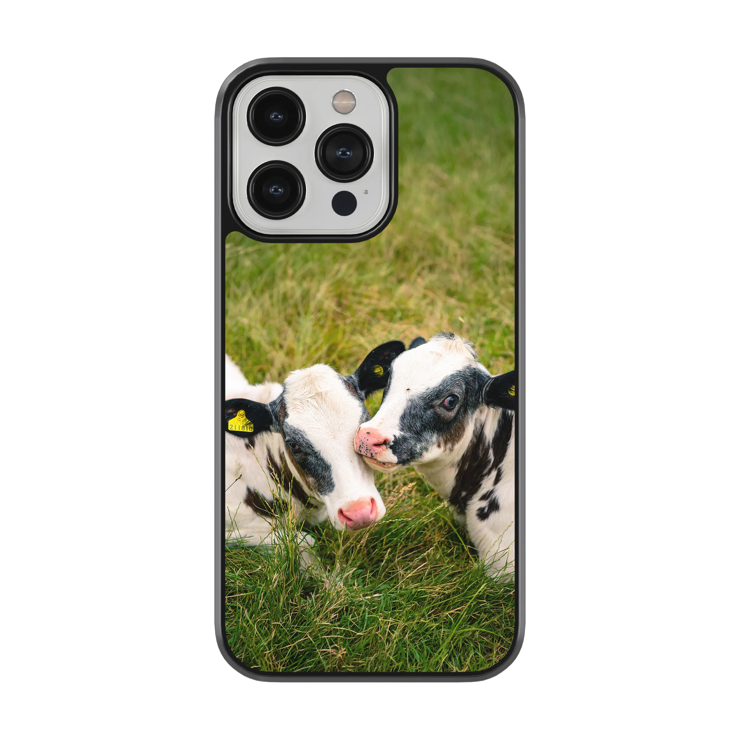 Coque - Veaux Prim Holstein