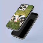 Coque - Veaux Prim Holstein