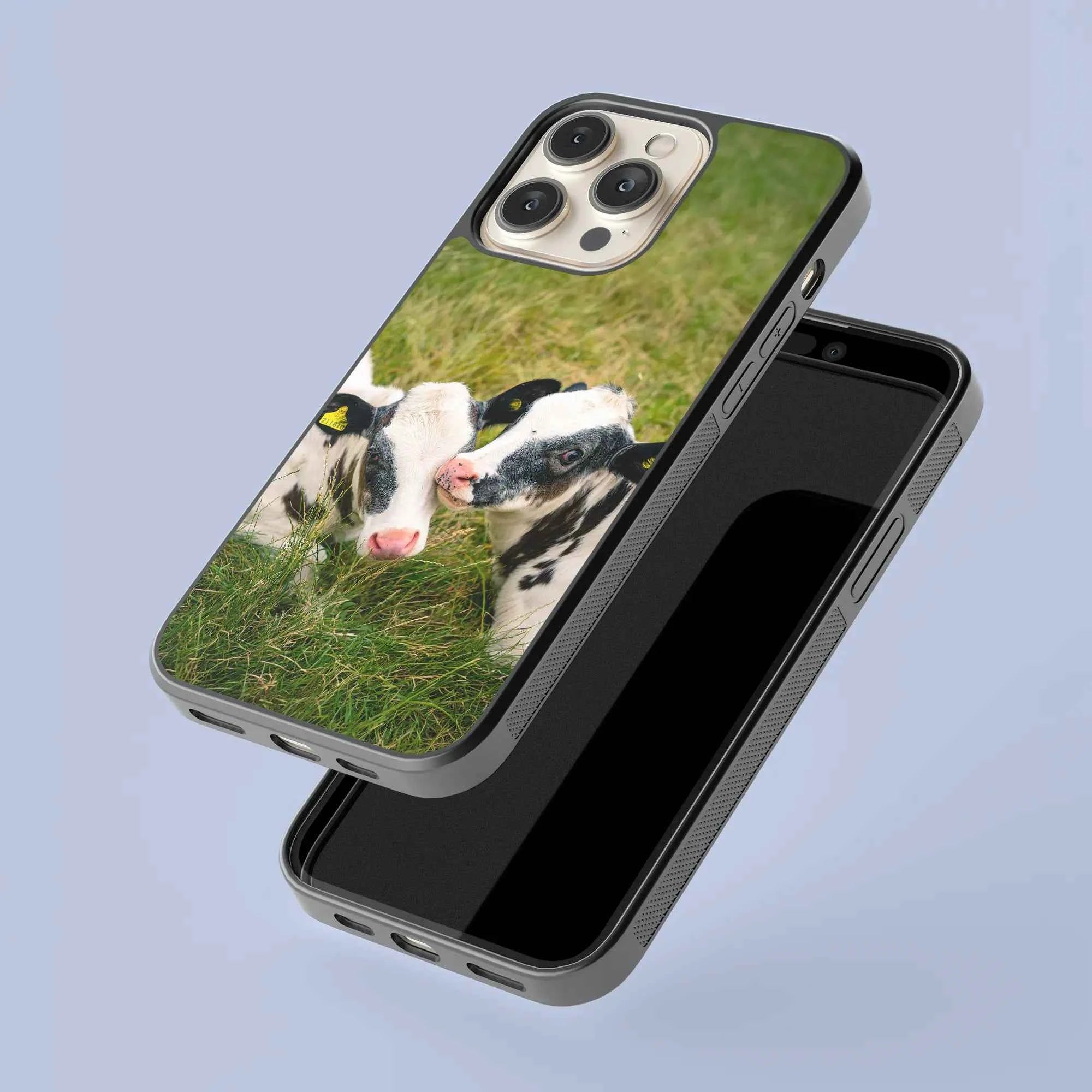 Coque - Veaux Prim Holstein