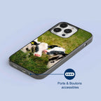 Coque - Veaux Prim Holstein