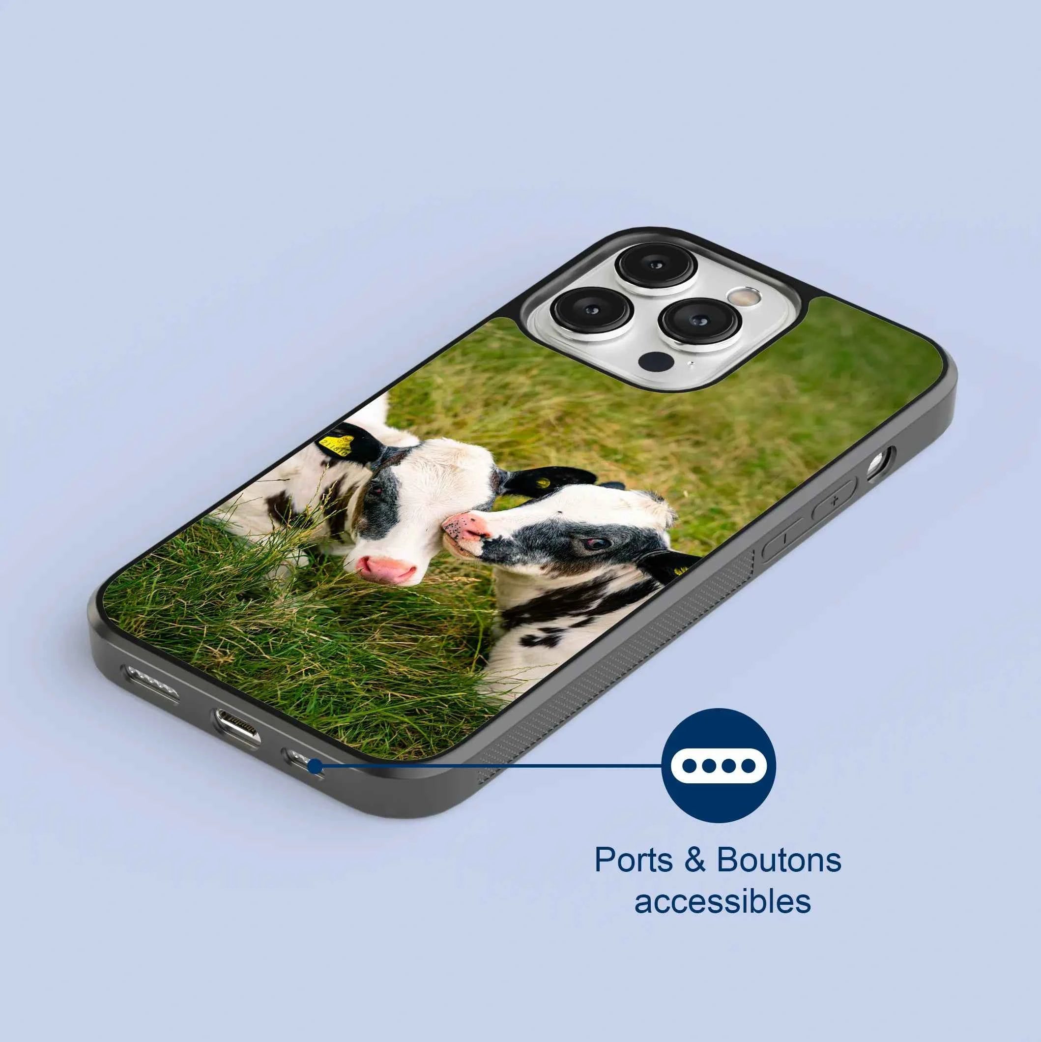 Coque - Veaux Prim Holstein