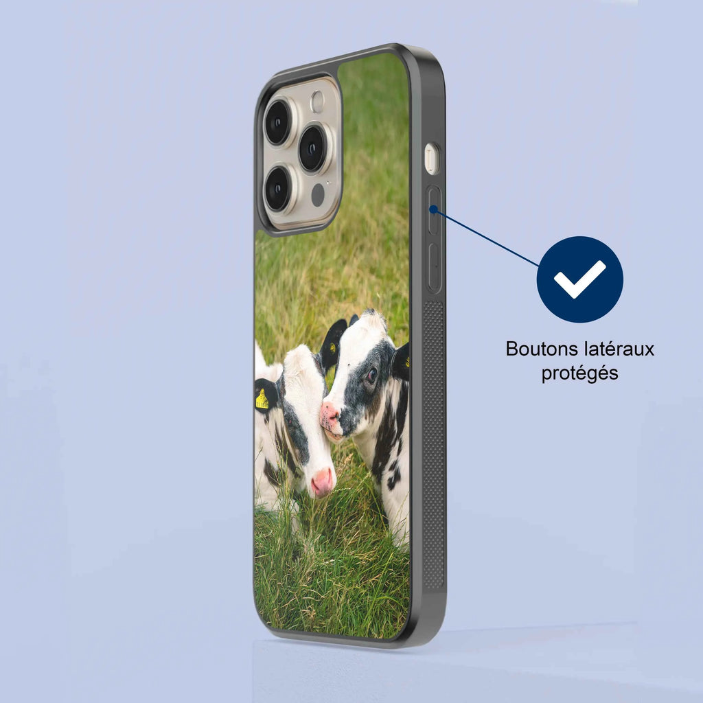 Coque - Veaux Prim Holstein