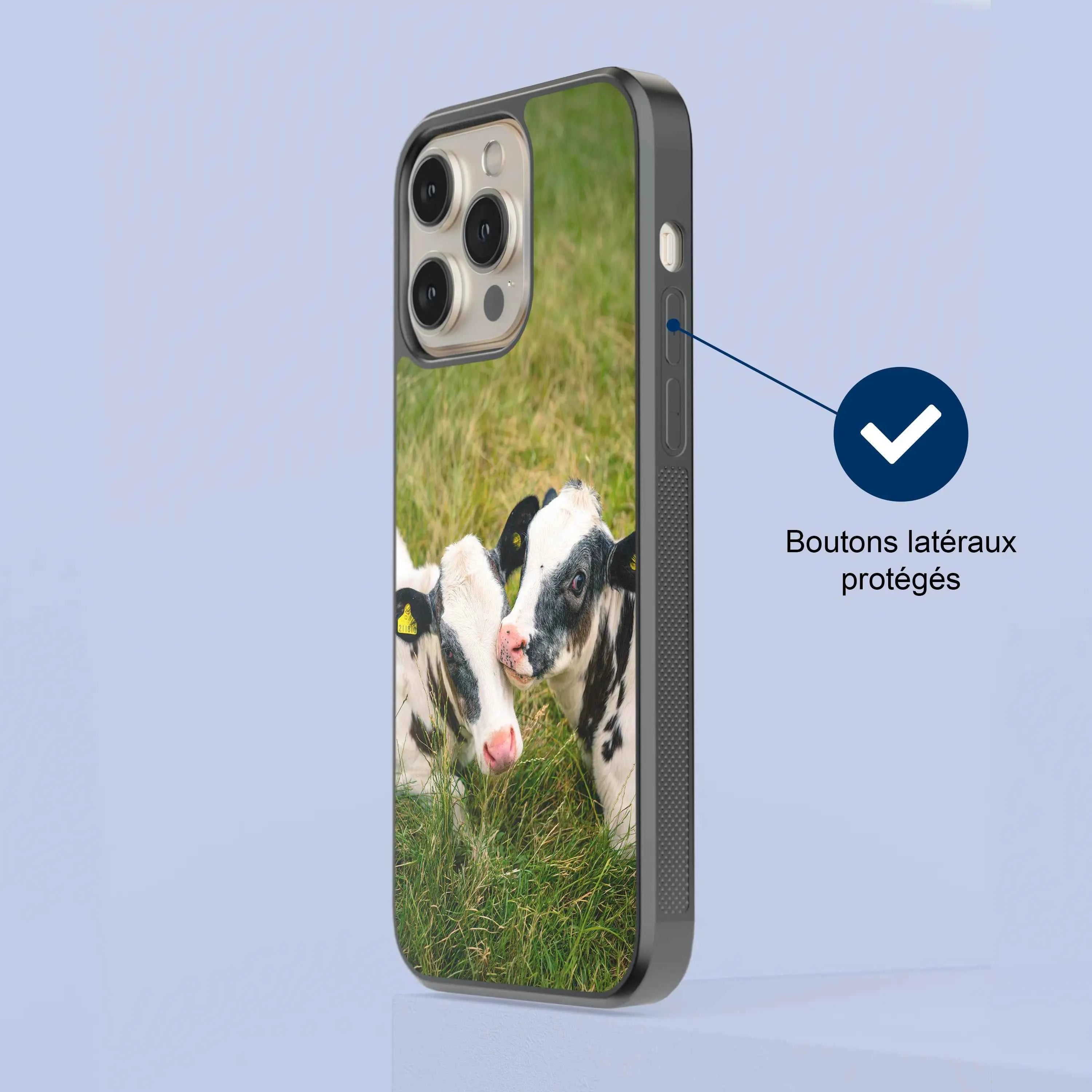 Coque - Veaux Prim Holstein