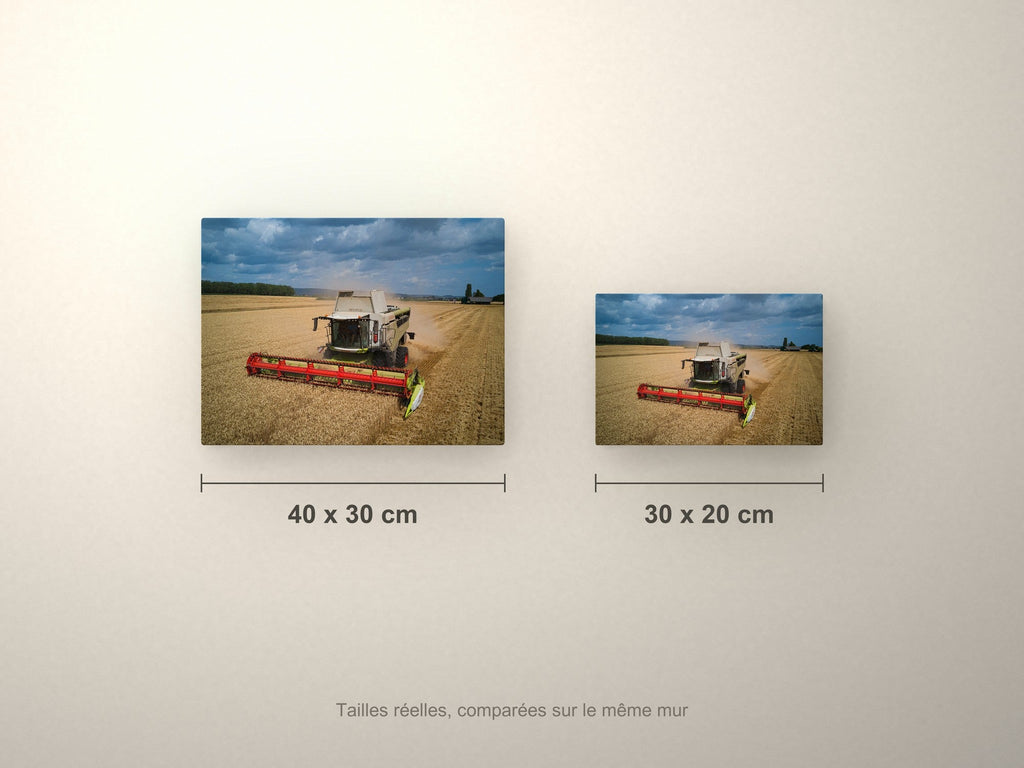 Poster métallique moisson vue aérienne — formats comparés en centimètres