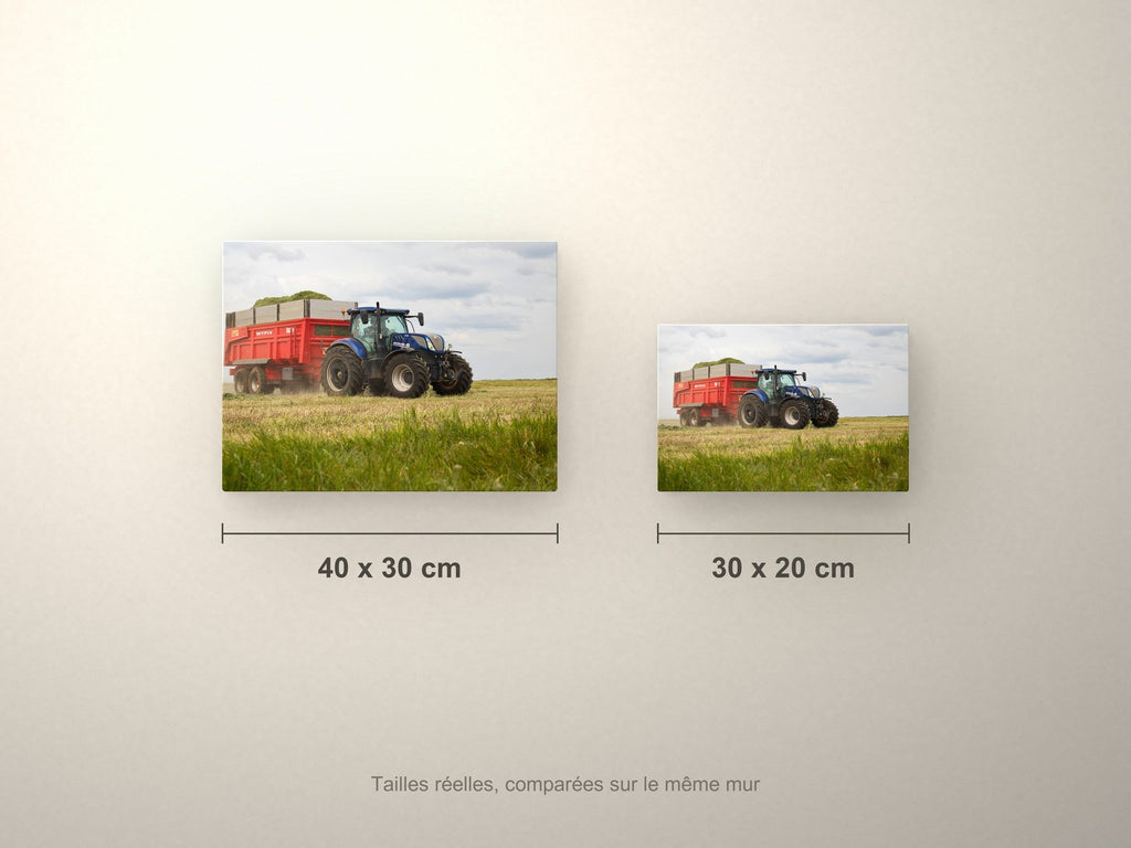 Poster métallique Wypix — formats 40x30 et 30x20 cm comparés