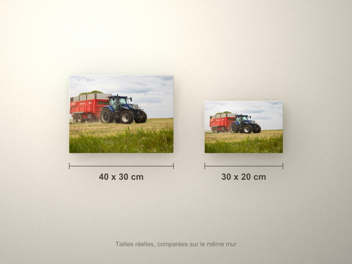 Poster métallique Wypix — formats 40x30 et 30x20 cm comparés