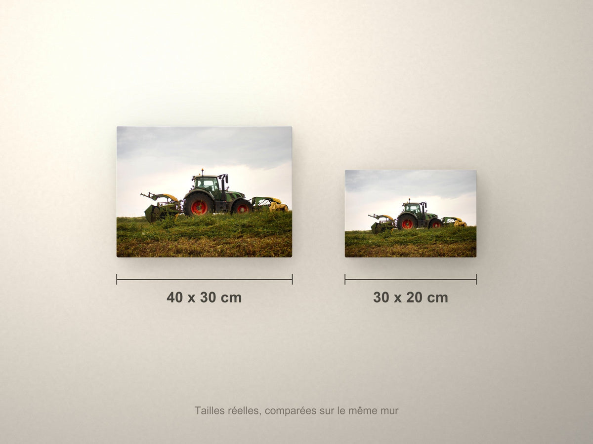 Poster métallique Wypix — formats 40x30 et 30x20 cm comparés