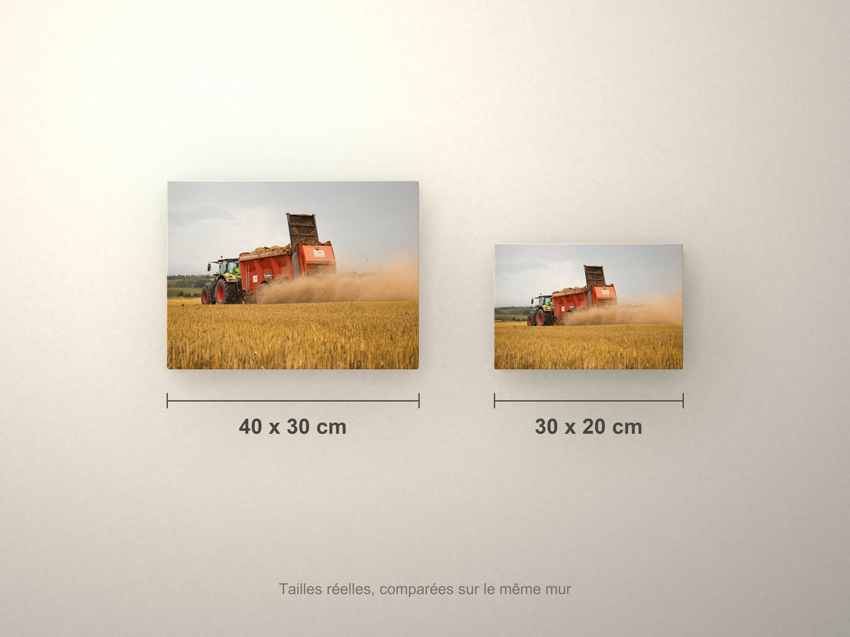Poster métallique Wypix — formats 40x30 et 30x20 cm comparés