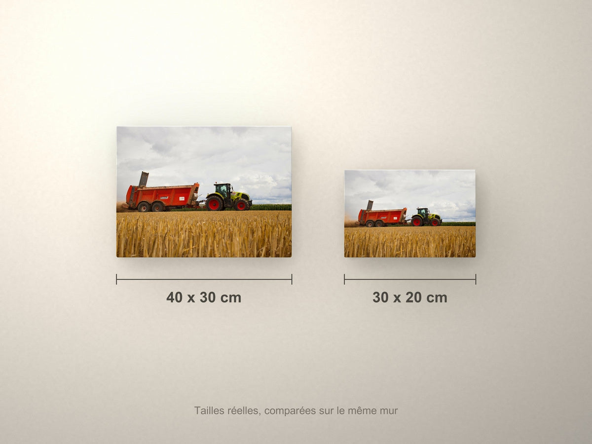Poster métallique Wypix — formats 40x30 et 30x20 cm comparés