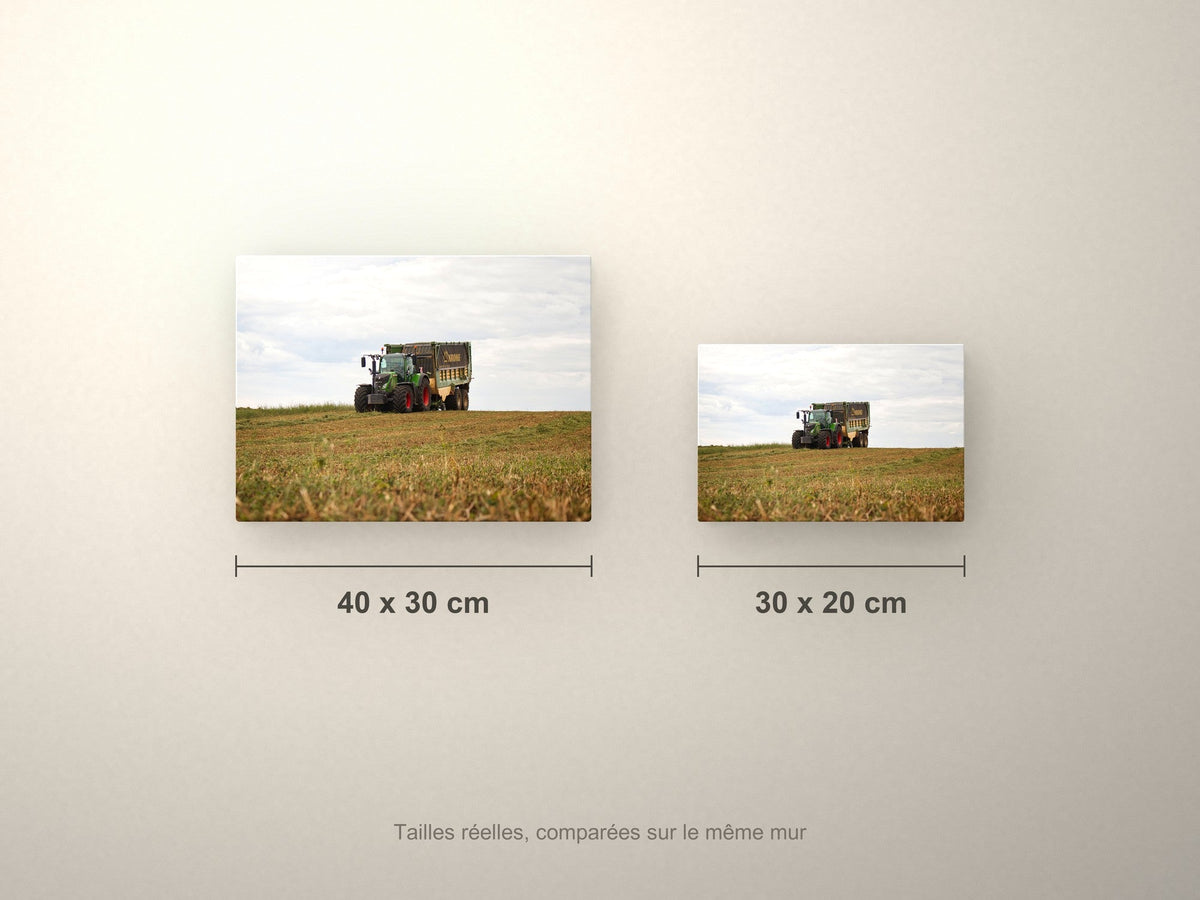 Poster métallique Wypix — formats 40x30 et 30x20 cm comparés