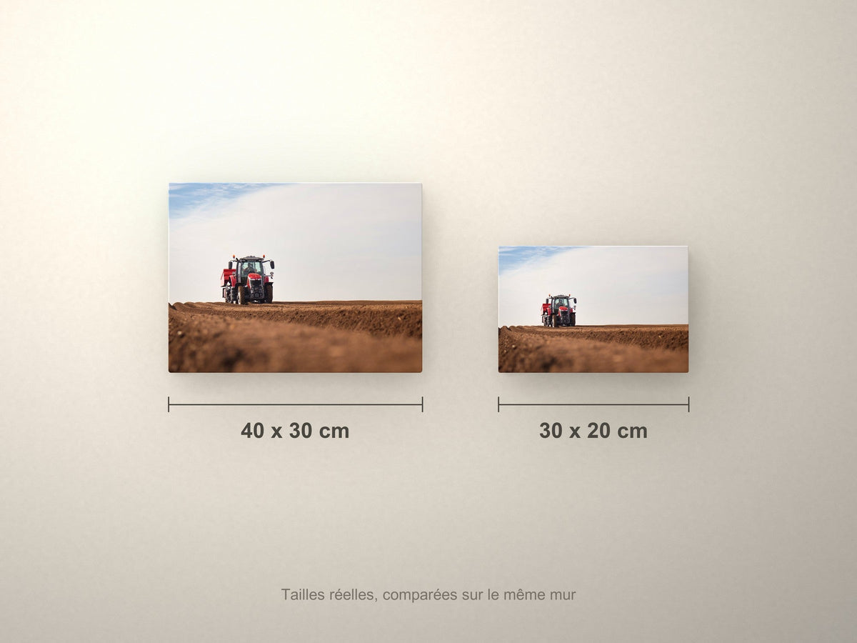 Poster métallique Wypix — formats 40x30 et 30x20 cm comparés