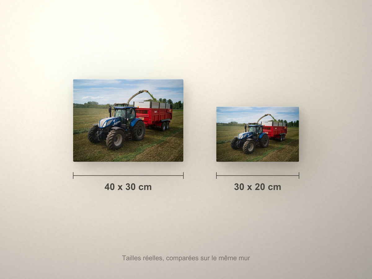Poster métallique Wypix — formats 40x30 et 30x20 cm comparés